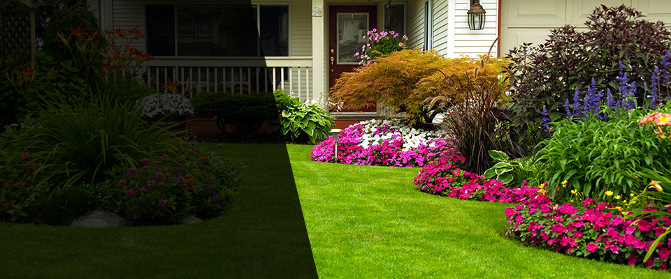 Cokato Landscapers