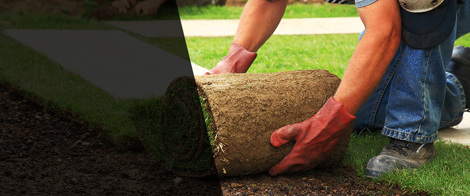 Cokato Landscapers
